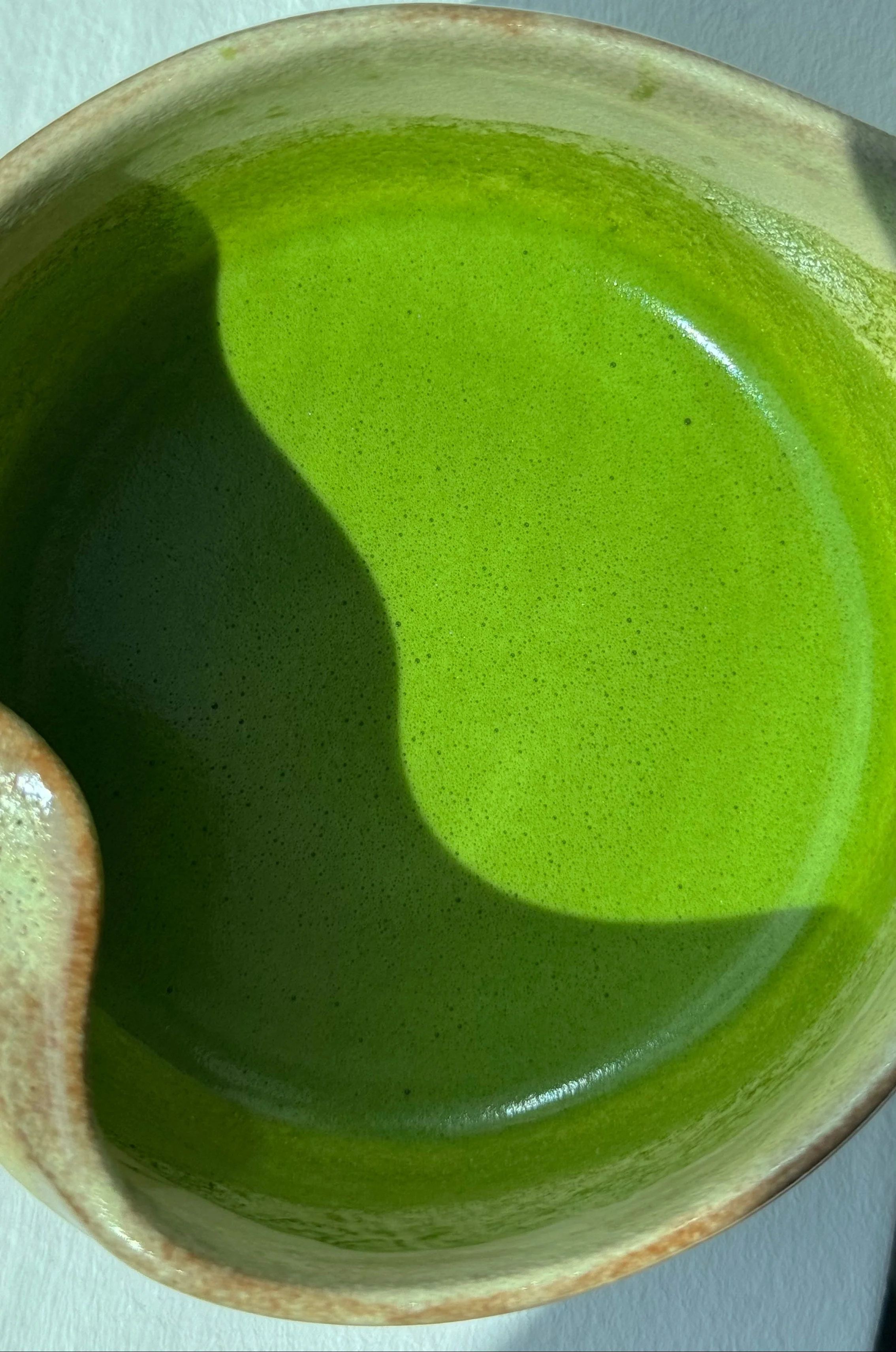 Bio Matcha Tee Okumidori – Single Cultivar – 30g - Image 3
